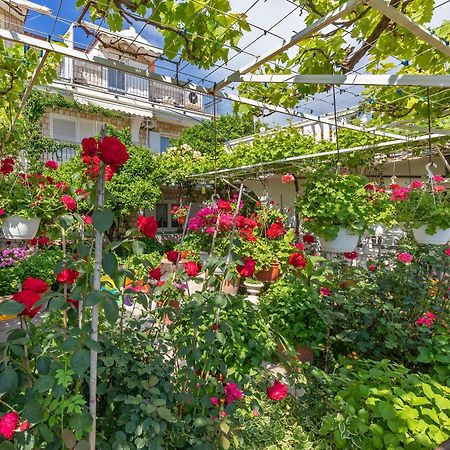 Apartmani Galic 2 Mlini Buitenkant foto