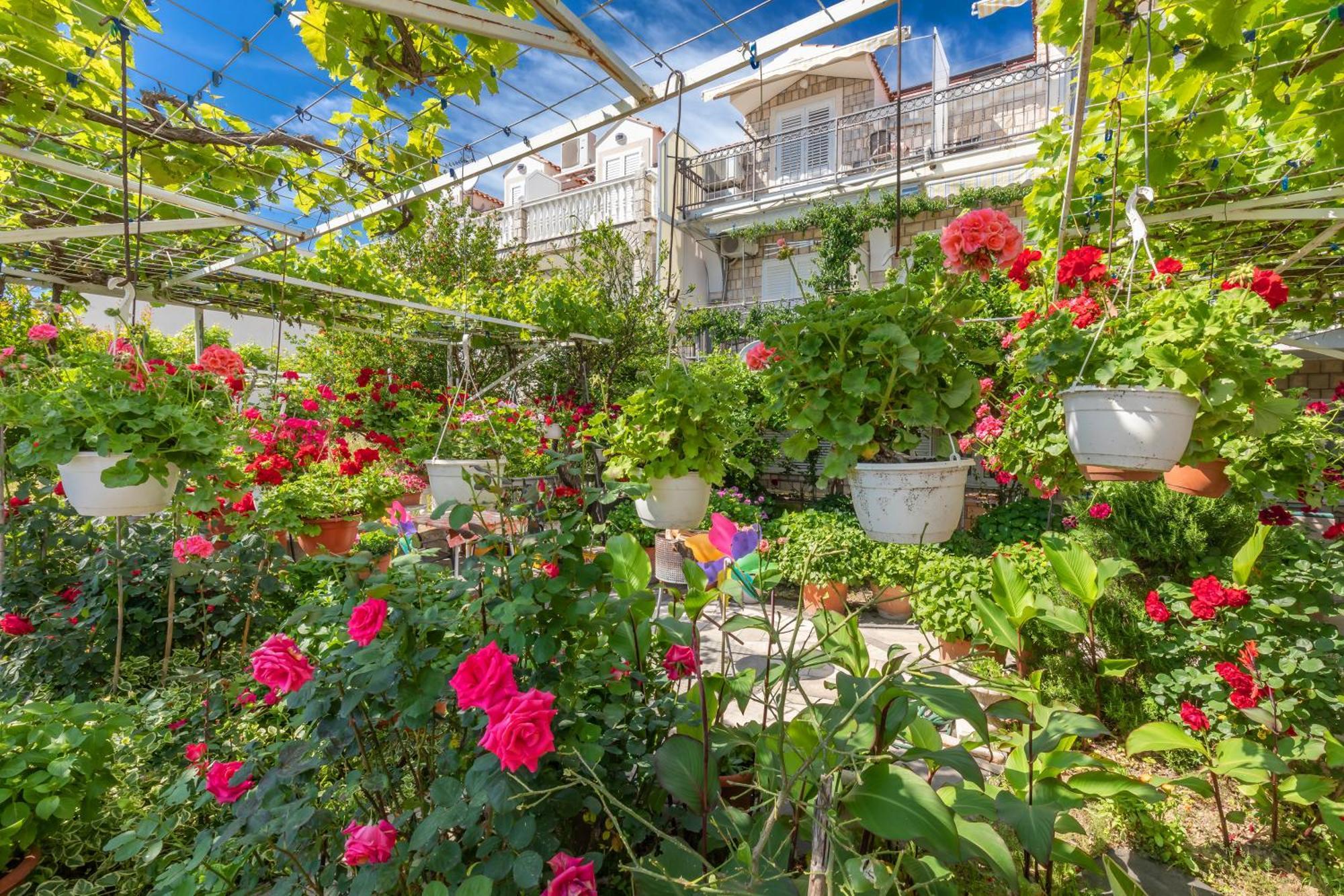 Apartmani Galic 2 Mlini Buitenkant foto