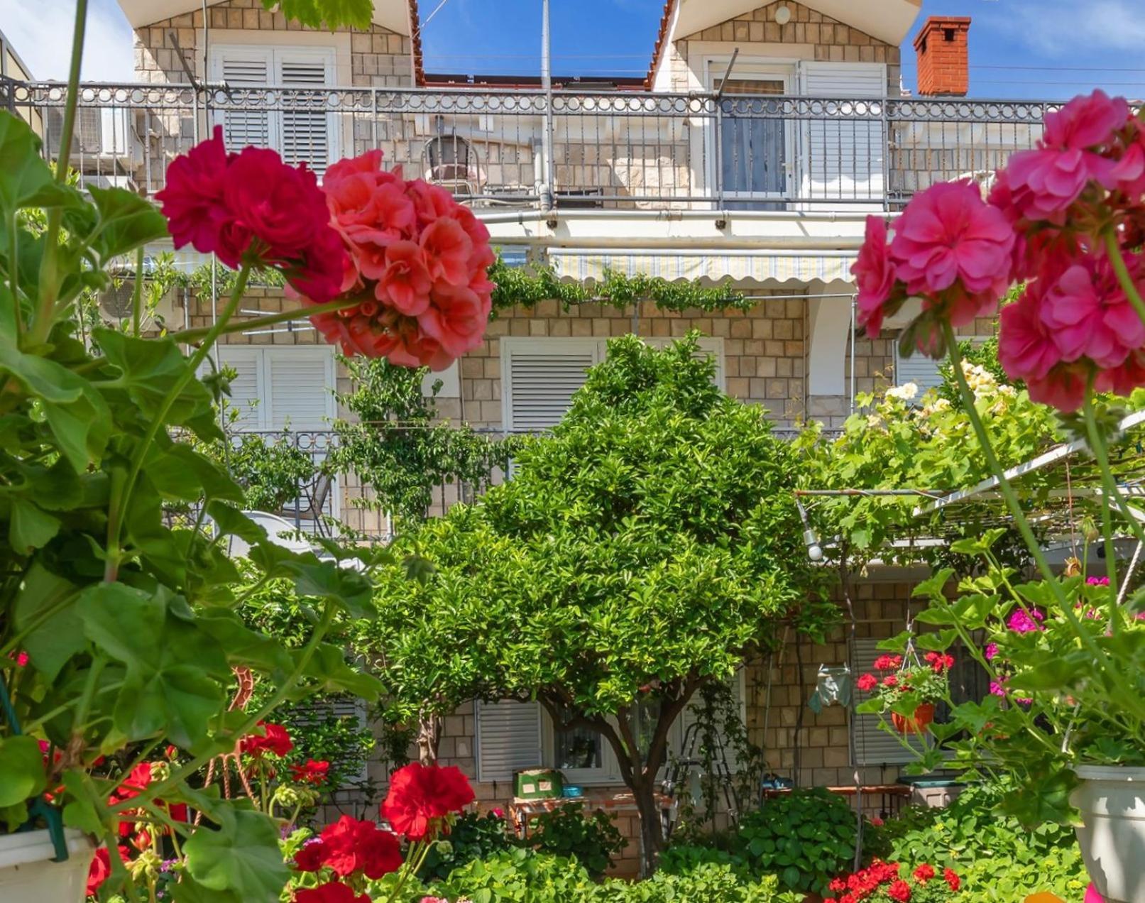 Apartmani Galic 2 Mlini Buitenkant foto